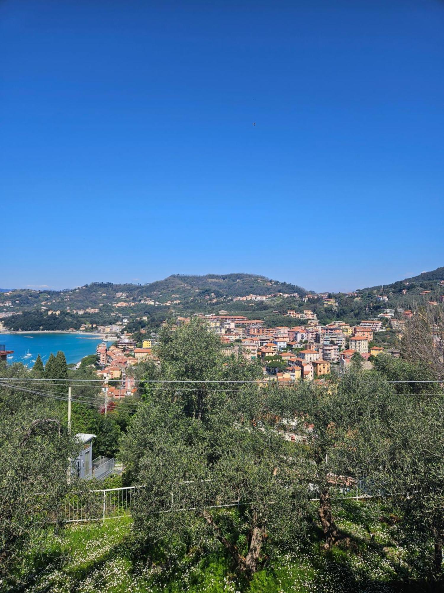Villa Degli Ulivi - Free Parking レーリチ エクステリア 写真